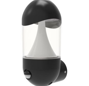 Ansell Lighting ALEOLED WL PIR  Leo 8W CCT Selectable Graphite LED Wall Lantern - PIR Sensor Online now